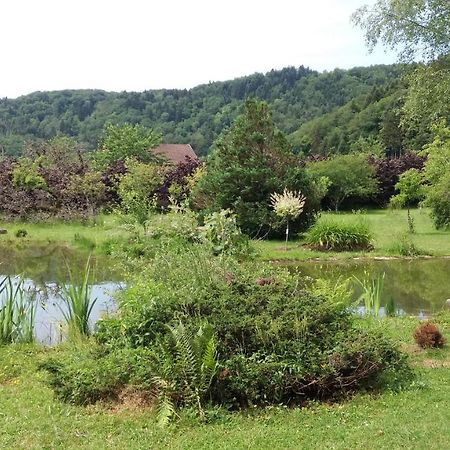Pied Des Milles Etang - Les Capucins Bed & Breakfast Faucogney-et-la-Mer Екстериор снимка