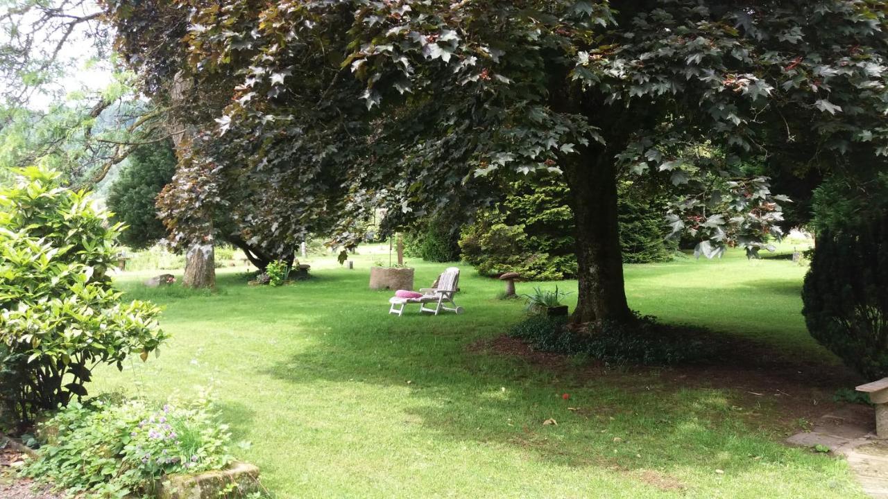 Pied Des Milles Etang - Les Capucins Bed & Breakfast Faucogney-et-la-Mer Екстериор снимка