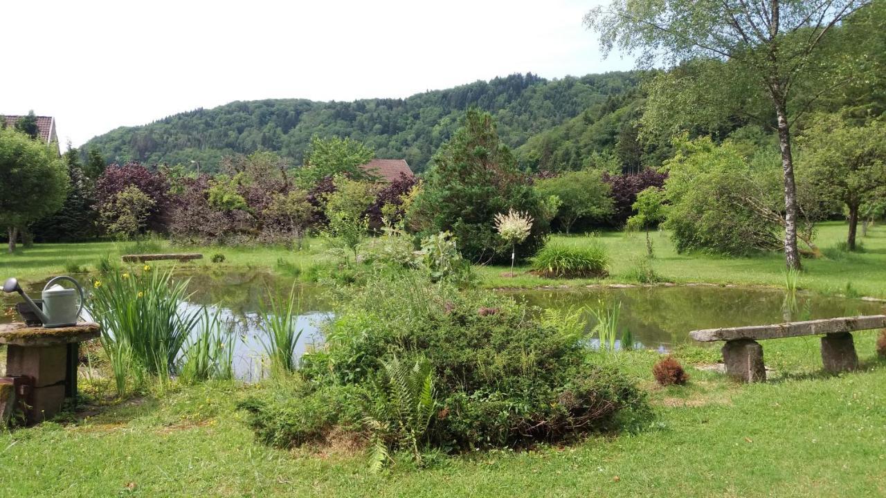 Pied Des Milles Etang - Les Capucins Bed & Breakfast Faucogney-et-la-Mer Екстериор снимка