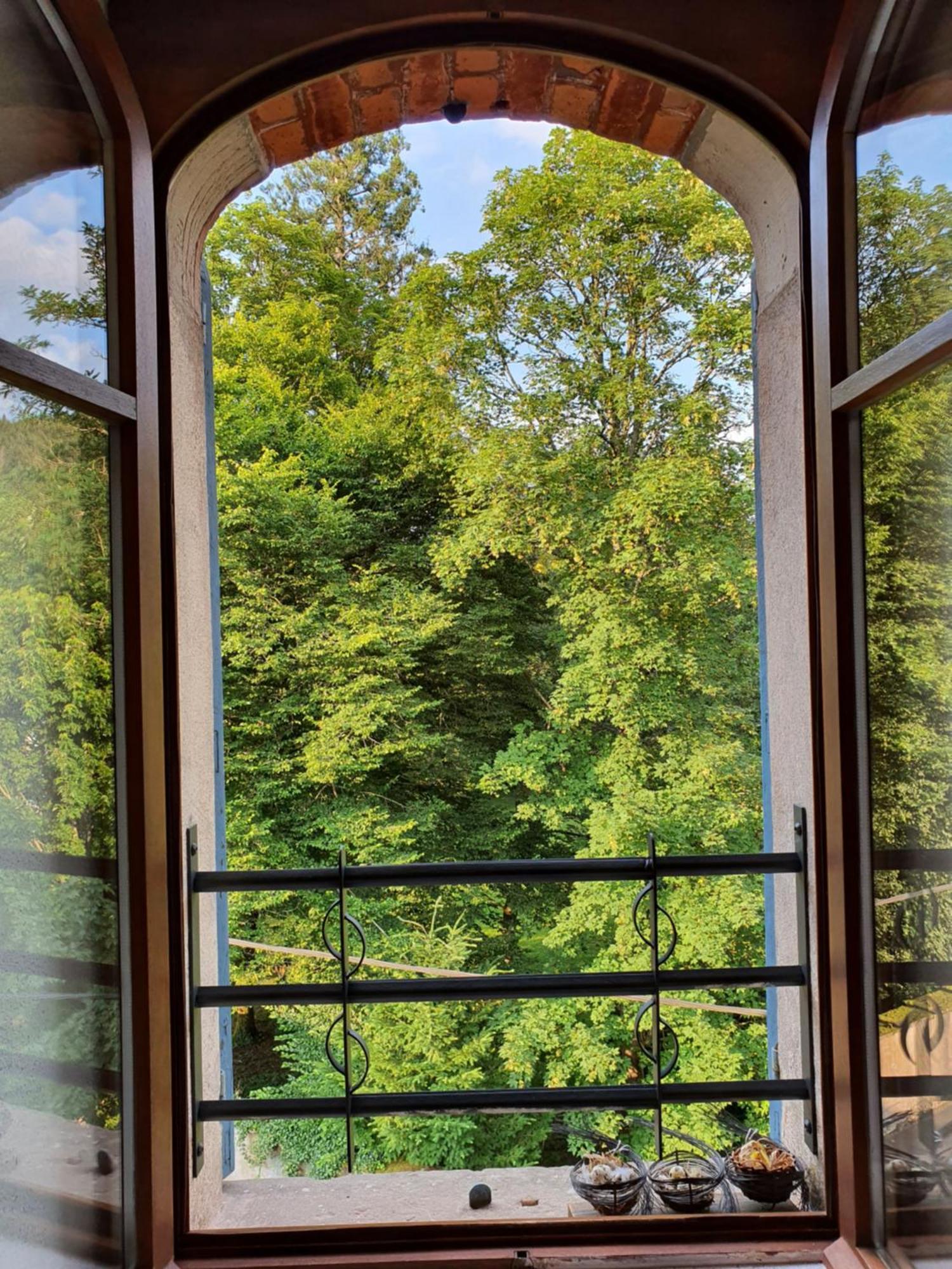 Pied Des Milles Etang - Les Capucins Bed & Breakfast Faucogney-et-la-Mer Стая снимка