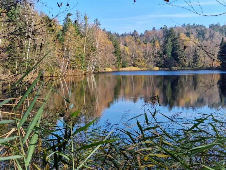 Pied Des Milles Etang - Les Capucins Bed & Breakfast Faucogney-et-la-Mer Екстериор снимка