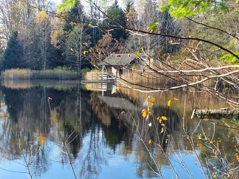 Pied Des Milles Etang - Les Capucins Bed & Breakfast Faucogney-et-la-Mer Екстериор снимка